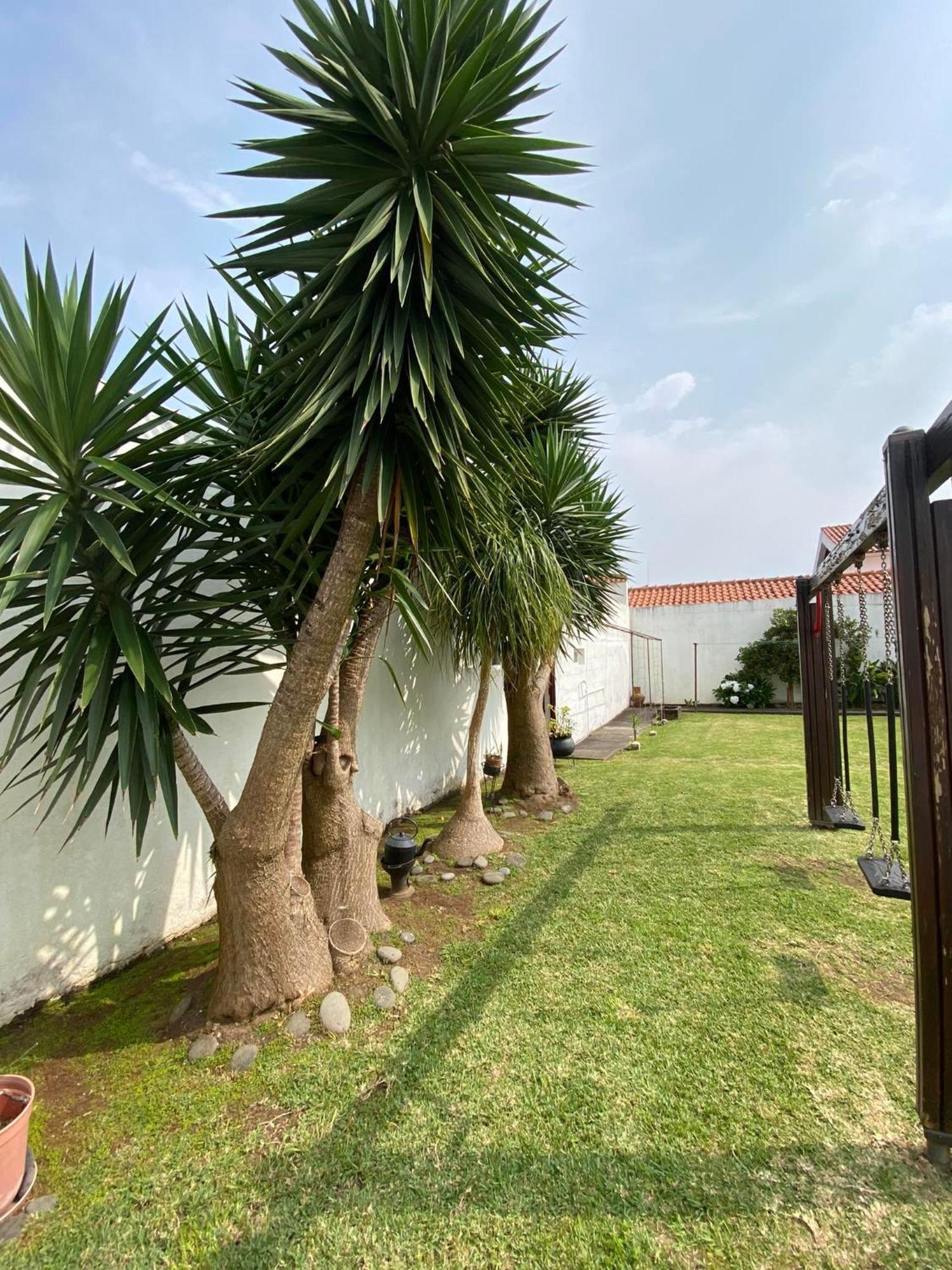 Apartamentos Sao Joao Horta  Exteriér fotografie