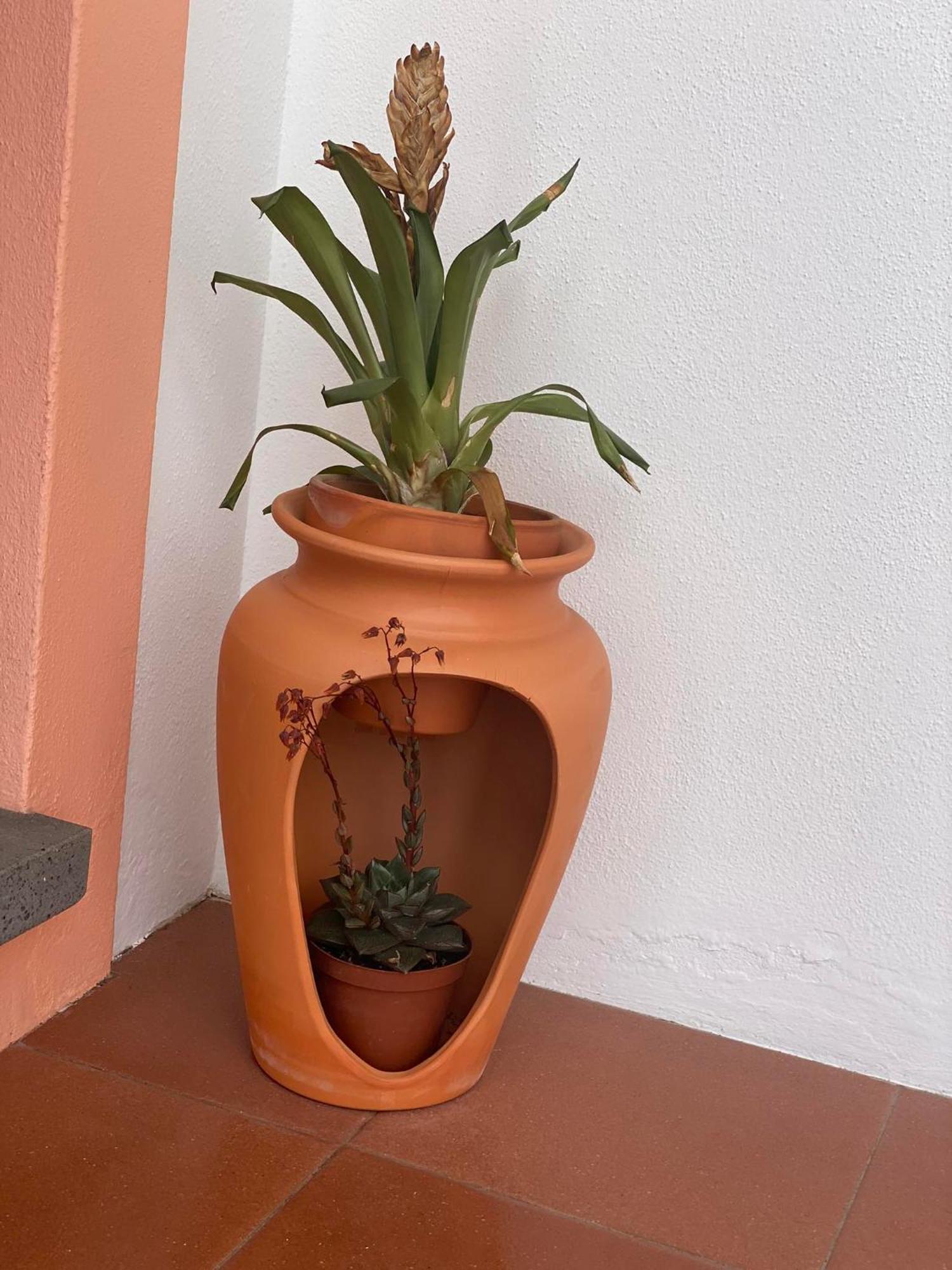 Apartamentos Sao Joao Horta  Exteriér fotografie